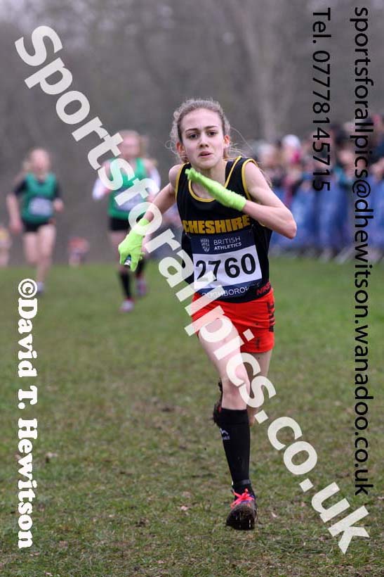 Girls under-13s Inter Counties Cross Country, Prestwold Hall, Loughborough. Photo: David T. Hewitson/Sports for All Pics